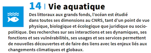 fiche 14
