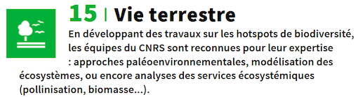 fiche 15