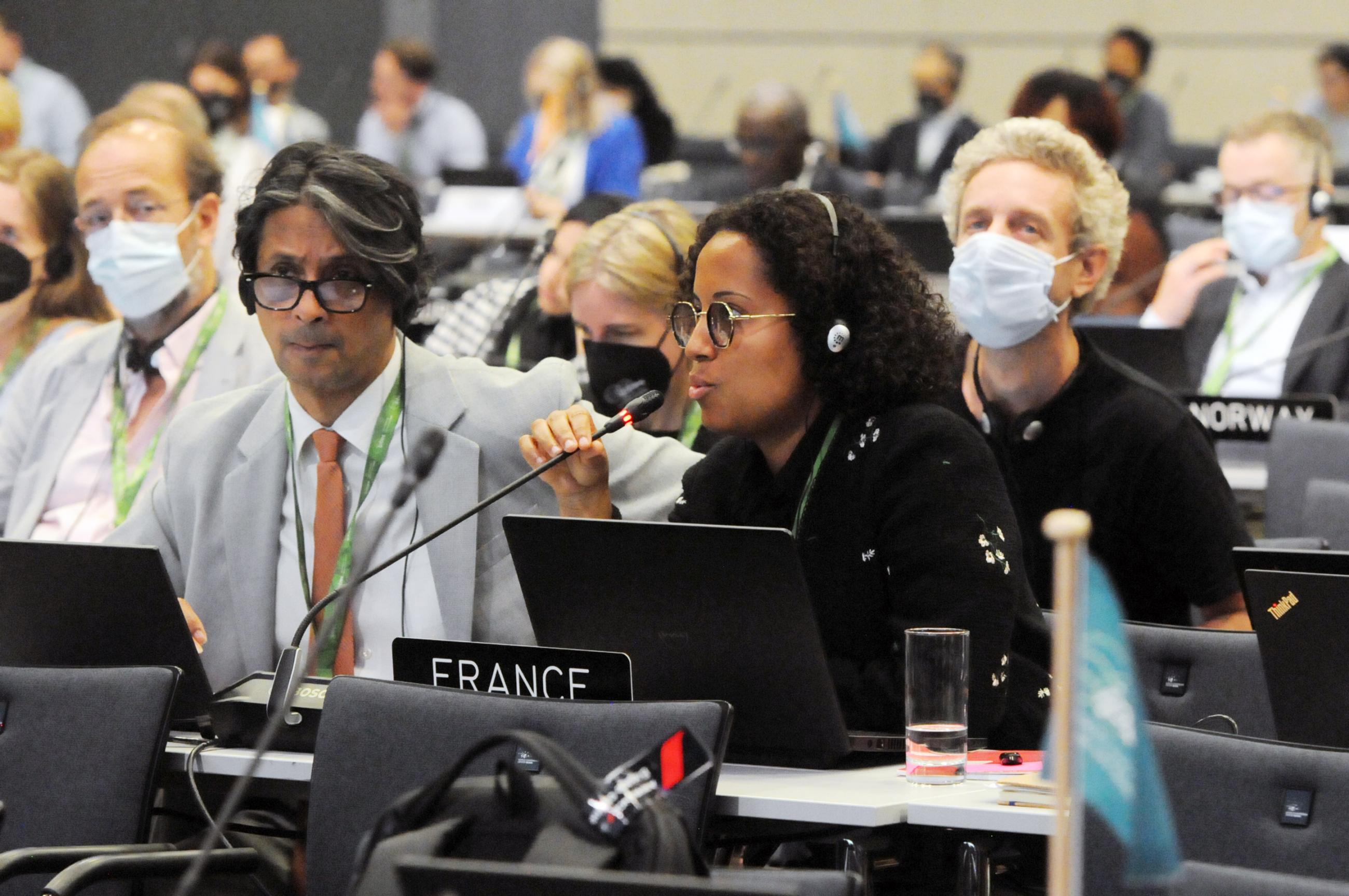 La délégation française pendant la neuvième plénière de l'IPBES (groupe de travail 1).