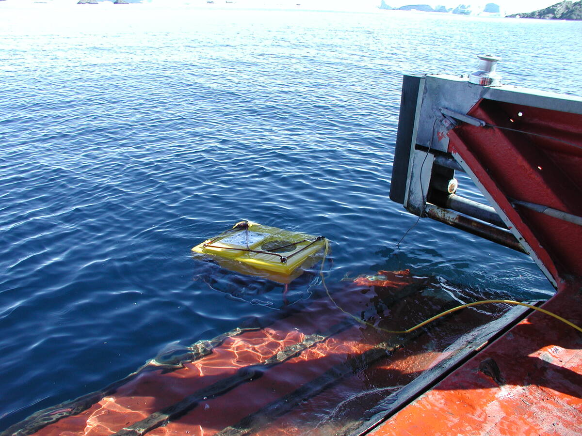 ROV