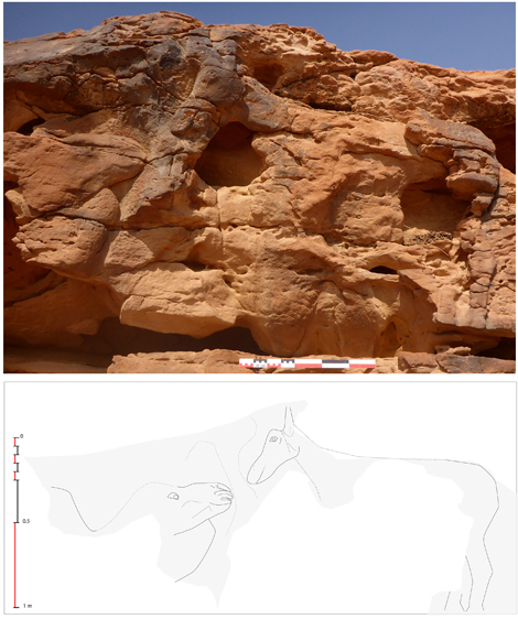 © Antiquity - CNRS/MADAJ, G. Charloux Rock relief depicting recumbent dromedary raising head towards an equid, possibly a donkey or mule.