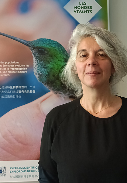 Karine Xie
