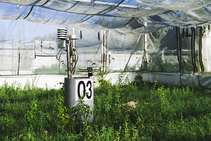 Station climatique d'une "cage à populations" du métatron terrestre