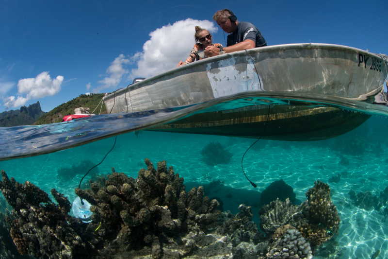 Relevé des signatures sonores d’un récif corallien dans le lagon de Moorea