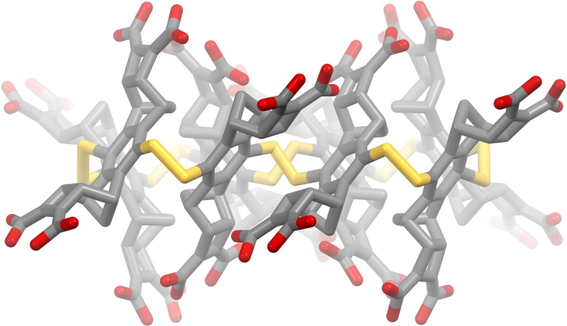 Edifice supramoléculaire complexe fait de briques de base formant entre elles des ponts disulfures