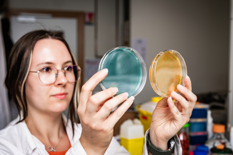 Une femme isole sur une boîte de Petri une souche bactérienne capable de dégrader un composé fluoré