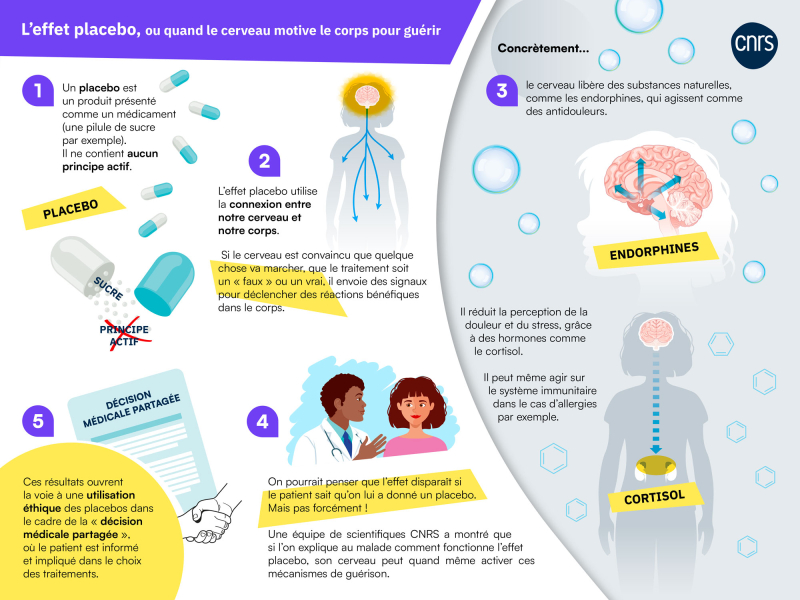 Infographie qui explique l'effet placebo ouvert