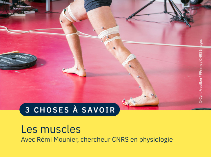 des jambes de sportifs couvertes d'électrodes