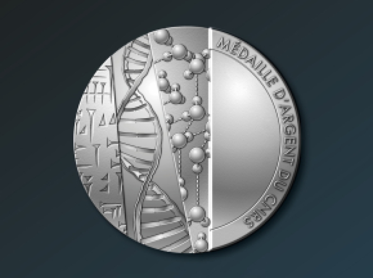 La médaille d'argent du CNRS
