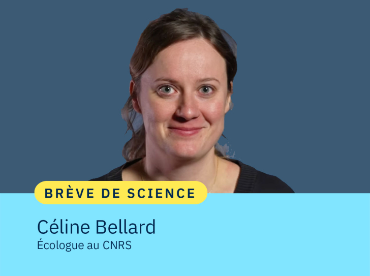 Portrait de Céline Bellard, écologue au CNRS