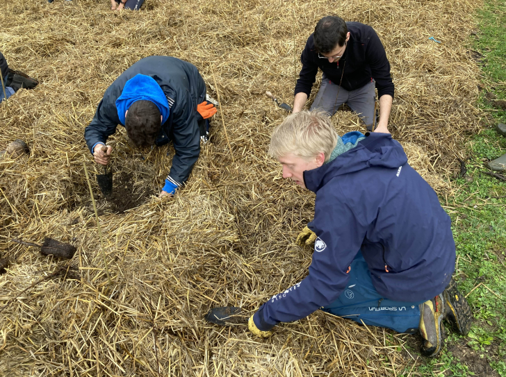 Planting a mini-forest at the M2C in Caen
