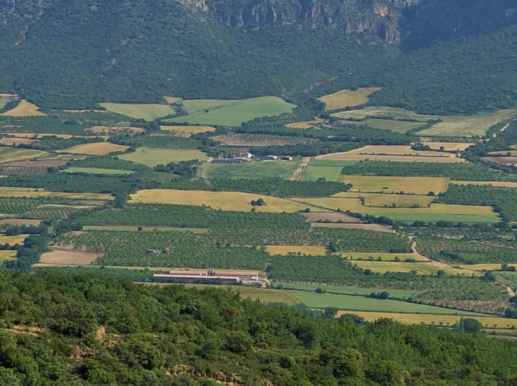 Mosaïque de cultures complexe avec de petites parcelles et des cultures diversifiées