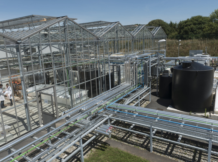 Photo d'AlgoSolis, infrastructure de recherche sur les microalgues
