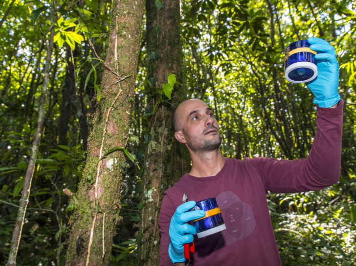 Un scientifique relève des échantillons dans une forêt de La Réunion