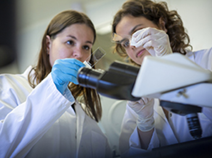 Deux jeunes scientifiques préparent un frottis sanguin sur une lame de verre pour le suivi des parasites du paludisme