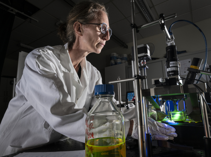 Isabelle Cantat, CNRS Silver Medal winner in 2023, studies flow in a soap film