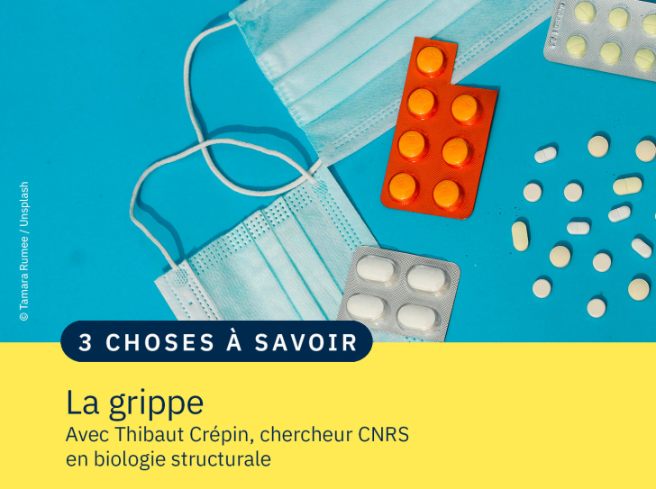 image de médicaments et de masque chirurgicaux