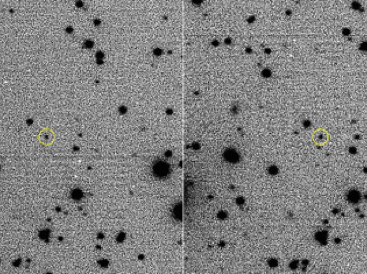 Discovery of the first body in the Solar System with an extrasolar origin