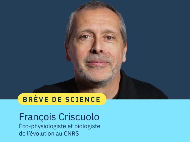 Portrait de François Criscuolo, éco-physiologiste et biologiste de l'évolution au CNRS