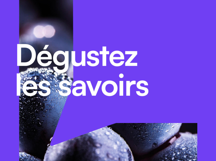 Des grains de raisin noirs couverts de gouttes d'eau