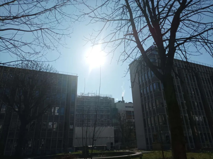 Extérieur jour, ciel bleu sans nuages, soleil visible en évidence en arrière plan, immeuble vus en contre-plongée au milieu, arbres partiellement visibles au premier plan