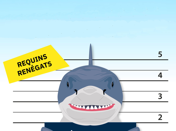 Une illustration montre un requin tenant une pancarte "Récidiviste" comme s'il était au poste de police