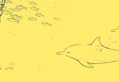 Dessins de dauphins et poissons sur fond jaune