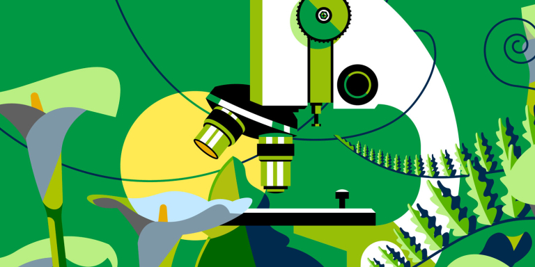 Illustration d'un microscope entouré de plantes