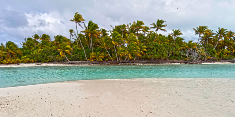 Petit chenal entre deux motus îlots de sable corallien, avec des palmiers à l'arrière plan