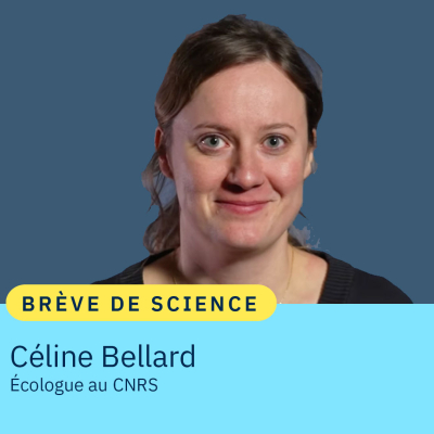 Portrait de Céline Bellard, écologue au CNRS