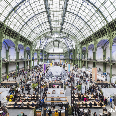 Vue d'ensemble de ChangeNOW au Grand Palais en 2025