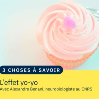 Illustration d'un cupcake rose