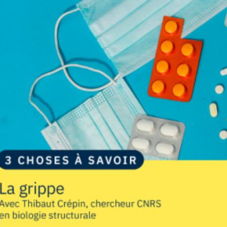 illustration de médicaments 