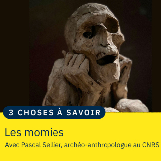 photographie d'une momie