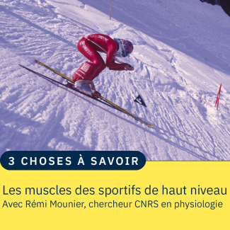 Un skieur 