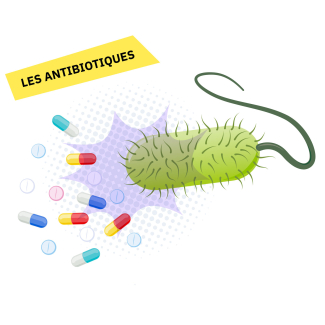 Illustration d'une bactérie entourée de médicaments