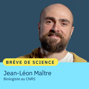 Portrait de Jean-Léon Maître biologiste CNRS