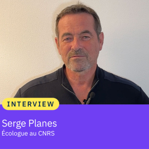 Portrait de Serge Planes, écologue au CNRS