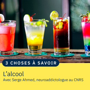 4 verres à cocktail colorés, alignés sur un comptoir