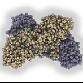 The structure of the BinAB toxin revealed : one small step for Man, a major problem for mosquitoes !