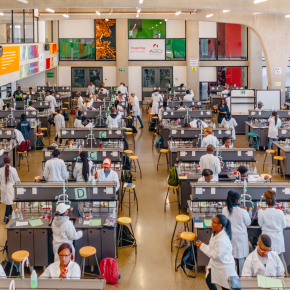 Students in a chemistry laboratory at the University of the Witwatersrand.