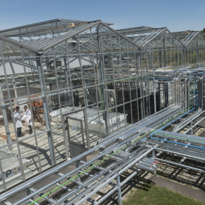 Photo d'AlgoSolis, infrastructure de recherche sur les microalgues