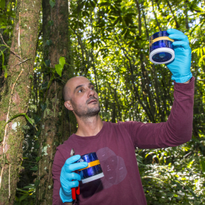 Un scientifique relève des échantillons dans une forêt de La Réunion