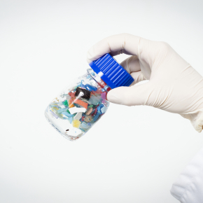 Macroplastics collected from beaches on the east coast of Guadeloupe