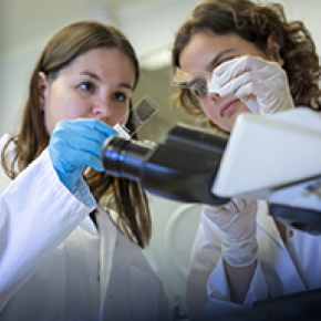 Two young scientists prepare a blood smear on a glass slide to monitor malaria parasites