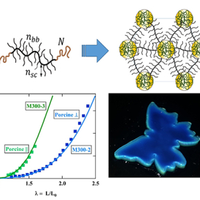 Polymers that mimic chameleon skin