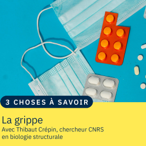 image de médicaments et de masque chirurgicaux