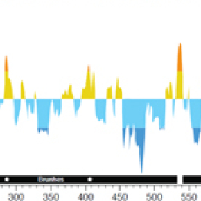 Marine sediments record variations in the Earth's magnetic field