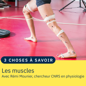 Des jambes couvertes d'électrodes