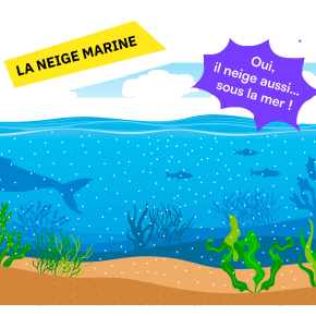 Illustration de la neige marine tombant au fond des océans